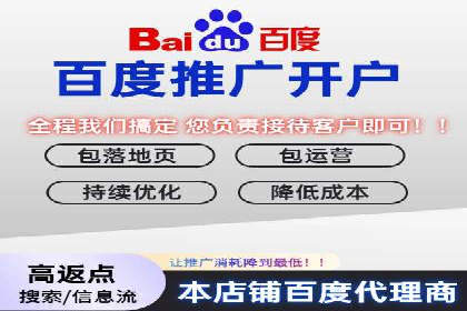 百度竞价代理实战：案例剖析与优化策略